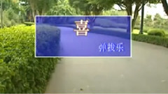 民乐群星 - 喜 弹拨乐