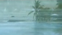 民乐群星 - 步步高 广东音乐