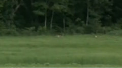 民乐群星 - 春到田间 广东音乐