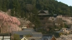 民乐群星 - 荡舟 广东音乐