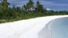 民乐群星 - 惊涛 广东音乐