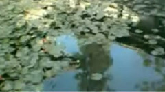 民乐群星 - 天山笛音 笛子版