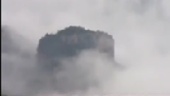 民乐群星,音乐短片 - 雨中莲