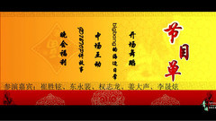 Bigbang 闹新春 VIP村春节晚会(很欢乐)