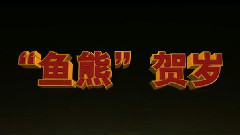 电影<功夫熊猫3>&<美人鱼>鱼熊合欢贺新春