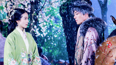 电视剧<女医明妃传>