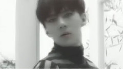 Biology Peach Brocade Carp Copy