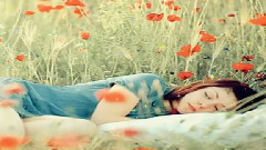 轻音乐 - Valleys( Иван Соколов)