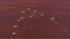 轻音乐,音乐短片,风景 - Comme Le Vent