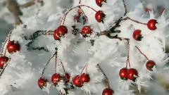 Giovanni Marradi - Един зимен ден ... ...