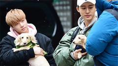 玛丽与我 EP11 金振焕&金韩彬CUT