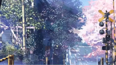 RSP,动漫专属 - さくら ～あなたに出会えてよかった～