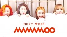 Mamamoo回归预告 现场版 16/02/24