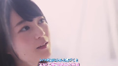 ハルジオンが咲く頃