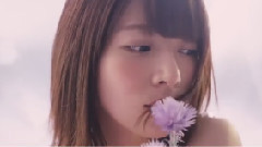 ハルジオンが咲く頃