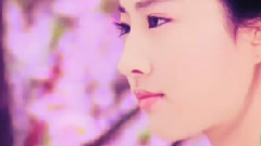 仙凡恋 三生三世