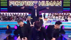 PERFECT HUMAN