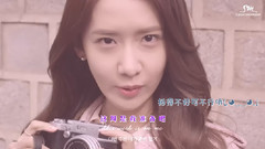 德寿宫石墙路的春天(Feat.10CM)