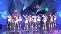 Beagle Beagle & MoMoMo