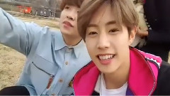 V直播 汉江溜狗