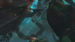 动画森林里那些事儿 在森林中遭遇