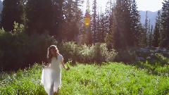 America the Beautiful