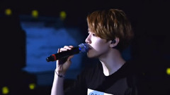 首尔二巡DVD伯贤舞台部分