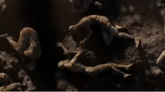 电影<庞贝末日>中文版预告片