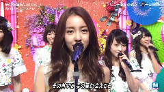 桜の花びらたち