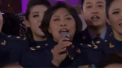 我爱祖国的蓝天