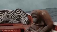 电影<少年派的奇幻漂流>制作特辑之VFX Breakdown