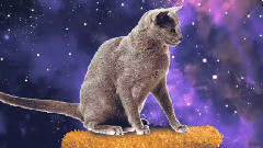 Ummet Ozcan - Spacecats