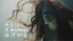 Wild Horses(野马)