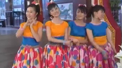 新年团聚 花开富贵满华堂