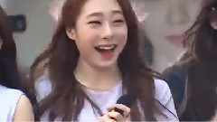 Produce101 大邱东城路游击队演唱会