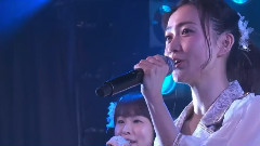 EN1 桜の花びらたち