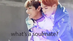 What's A Soulmate 95line