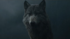 电影<奇幻森林>精彩片段1