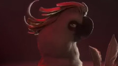 一周精彩视频串烧