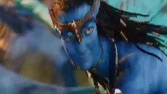 电影<阿凡达>电视宣传片4