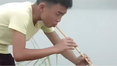 新片速递 电影<百鸟朝凤>先行版预告片