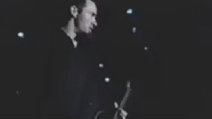 Between Angels And Insects