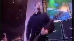 Between Angels And Insects