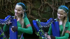 LOST WOODS Harp Twins