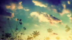 初音未来 - 立夏.キキョウ