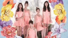 迷你2辑spring预告照和概念照