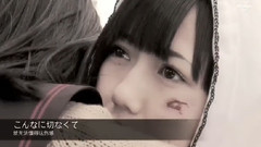 あなたに出会わなければ～夏雪冬花～