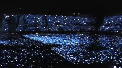 A Sky Full of Stars(AHFOD Tour Mexico)