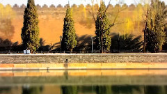 寂静之声(顾稚蔚版)