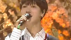 樱花叶 - SBS人气歌谣 现场版 16/05/01